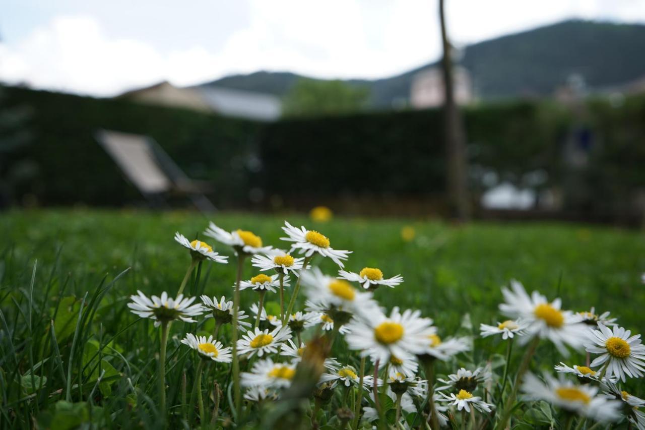 Con Jardin En La Cerdanya